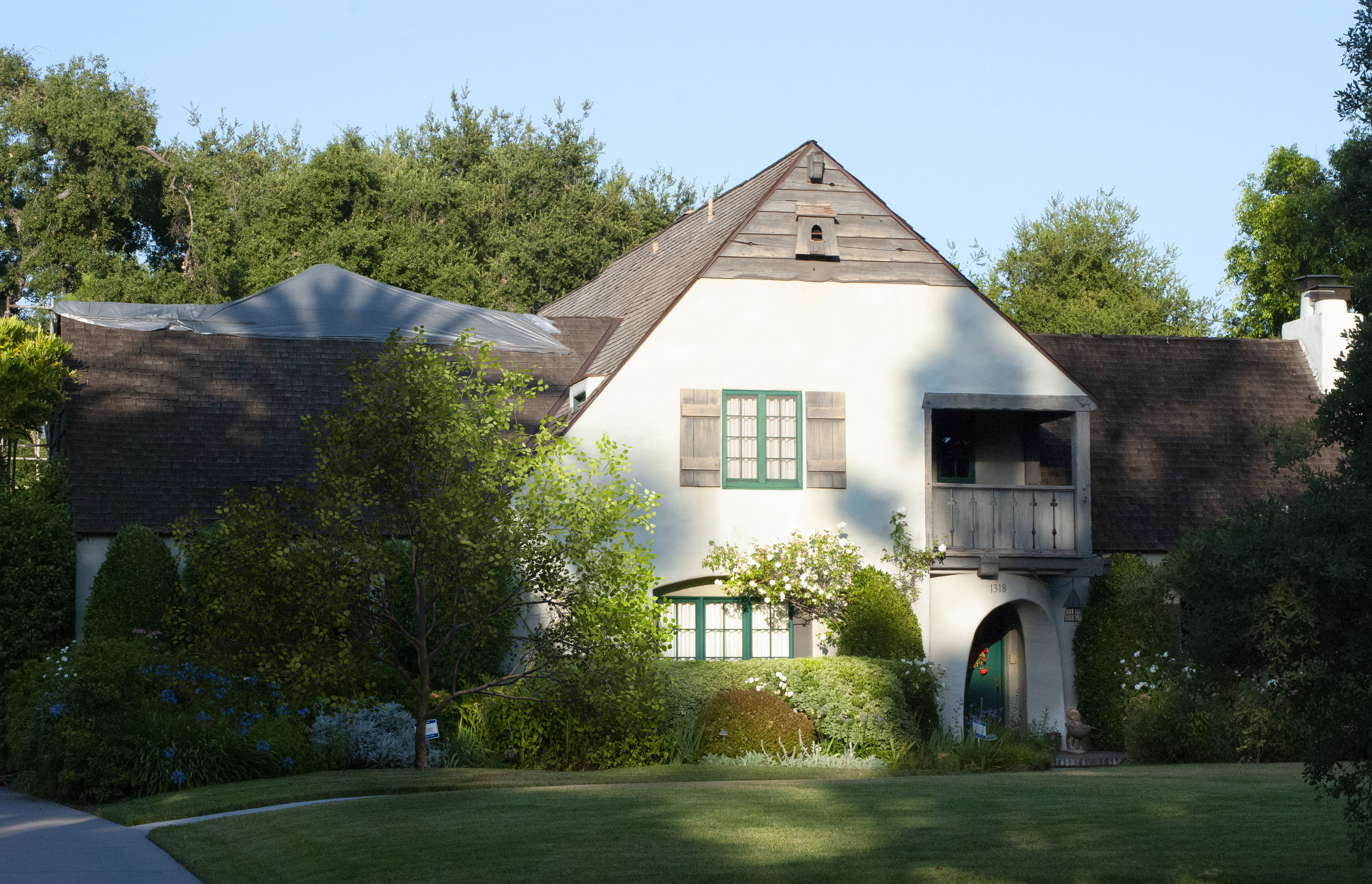 2021 PBR Flame of the Forest Collection - Butea Monosperma 3D model_3