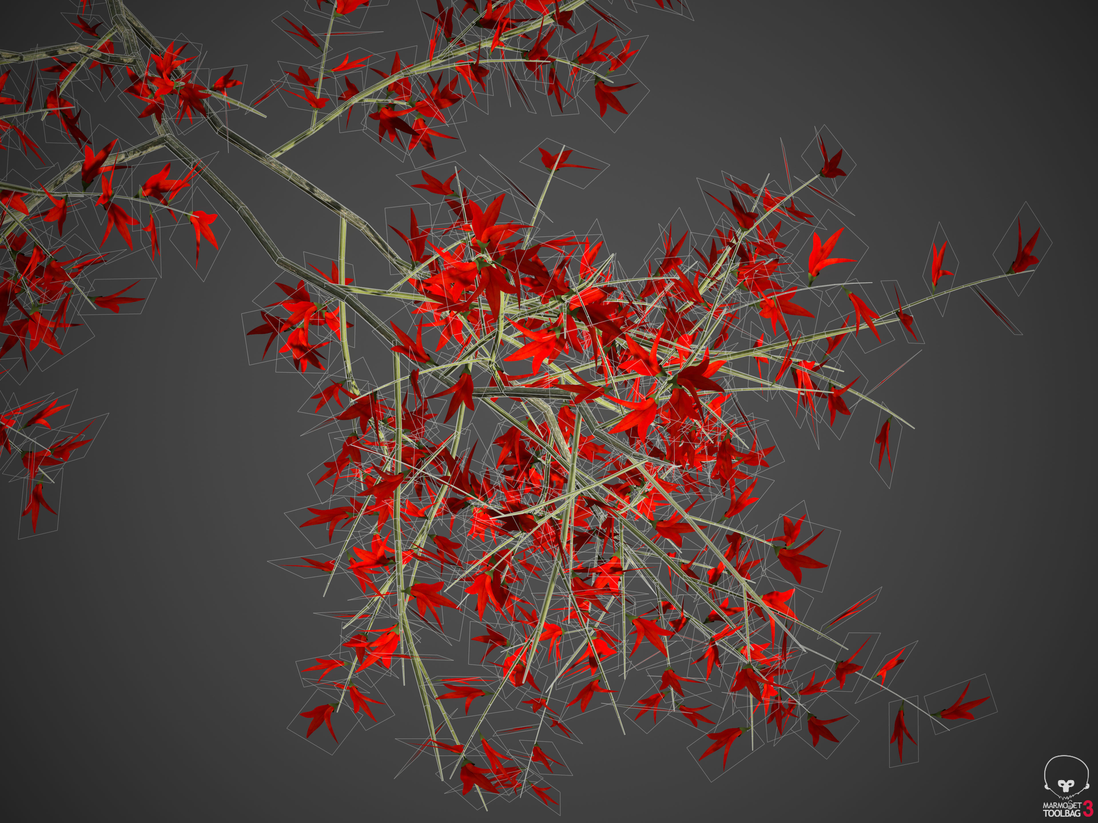 2021 PBR Flame of the Forest Collection - Butea Monosperma 3D model_9