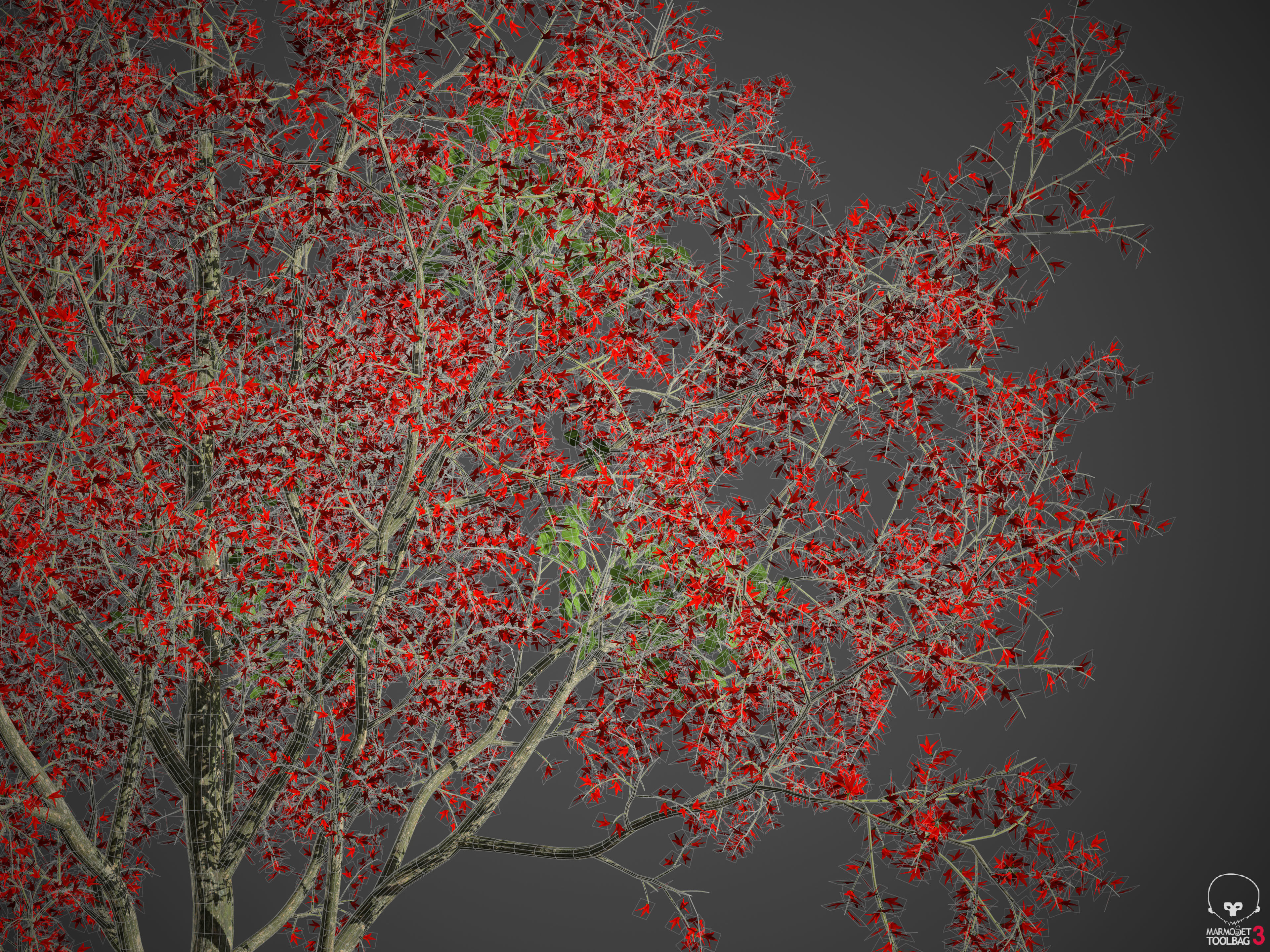 2021 PBR Flame of the Forest Collection - Butea Monosperma 3D model_10