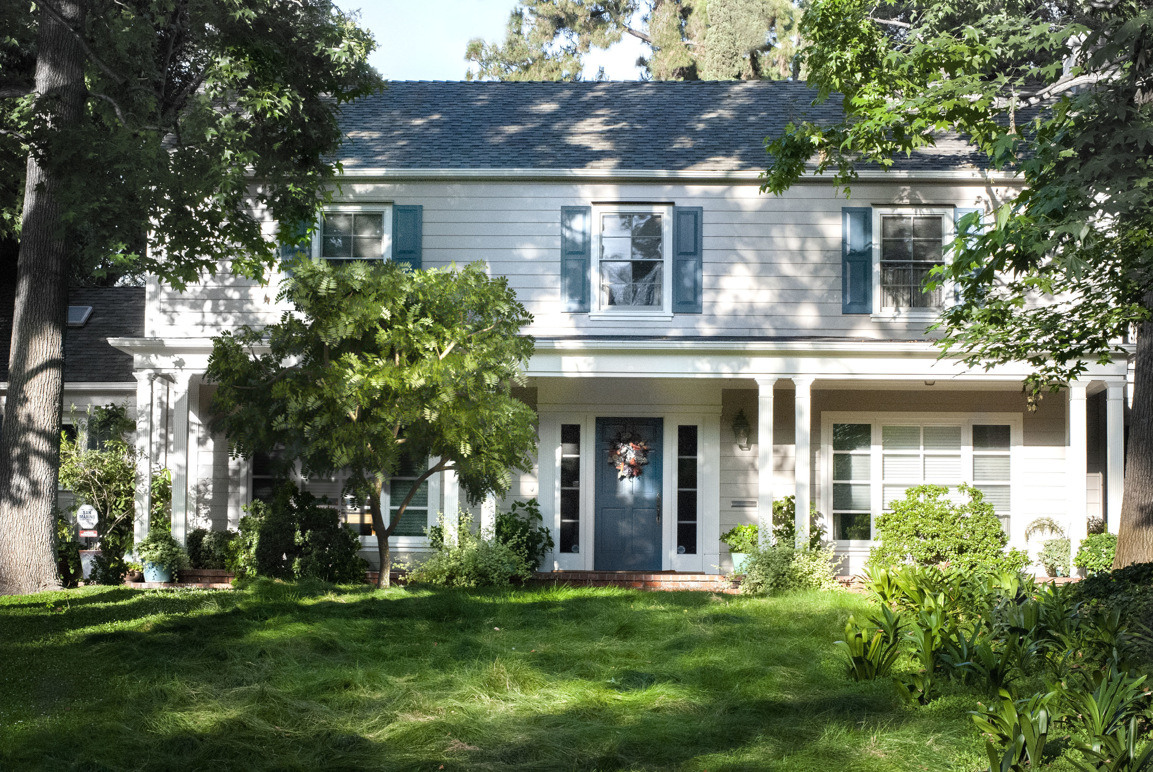 2021 PBR Curry Leaf Collection - Murraya Koenigii  3D model_3