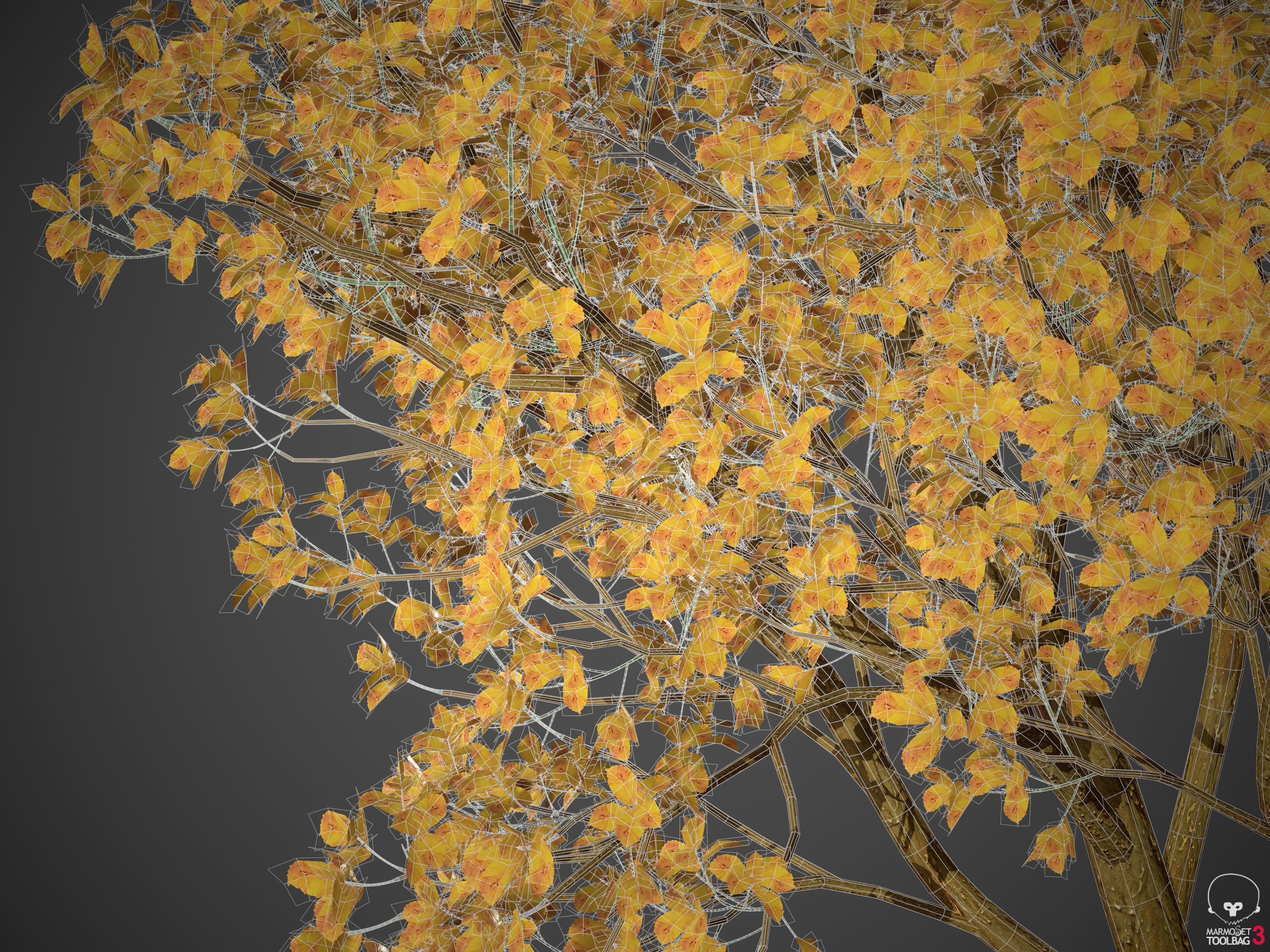 2021 PBR Persian Ironwood Collection - Parrotia Persica 3D model_12
