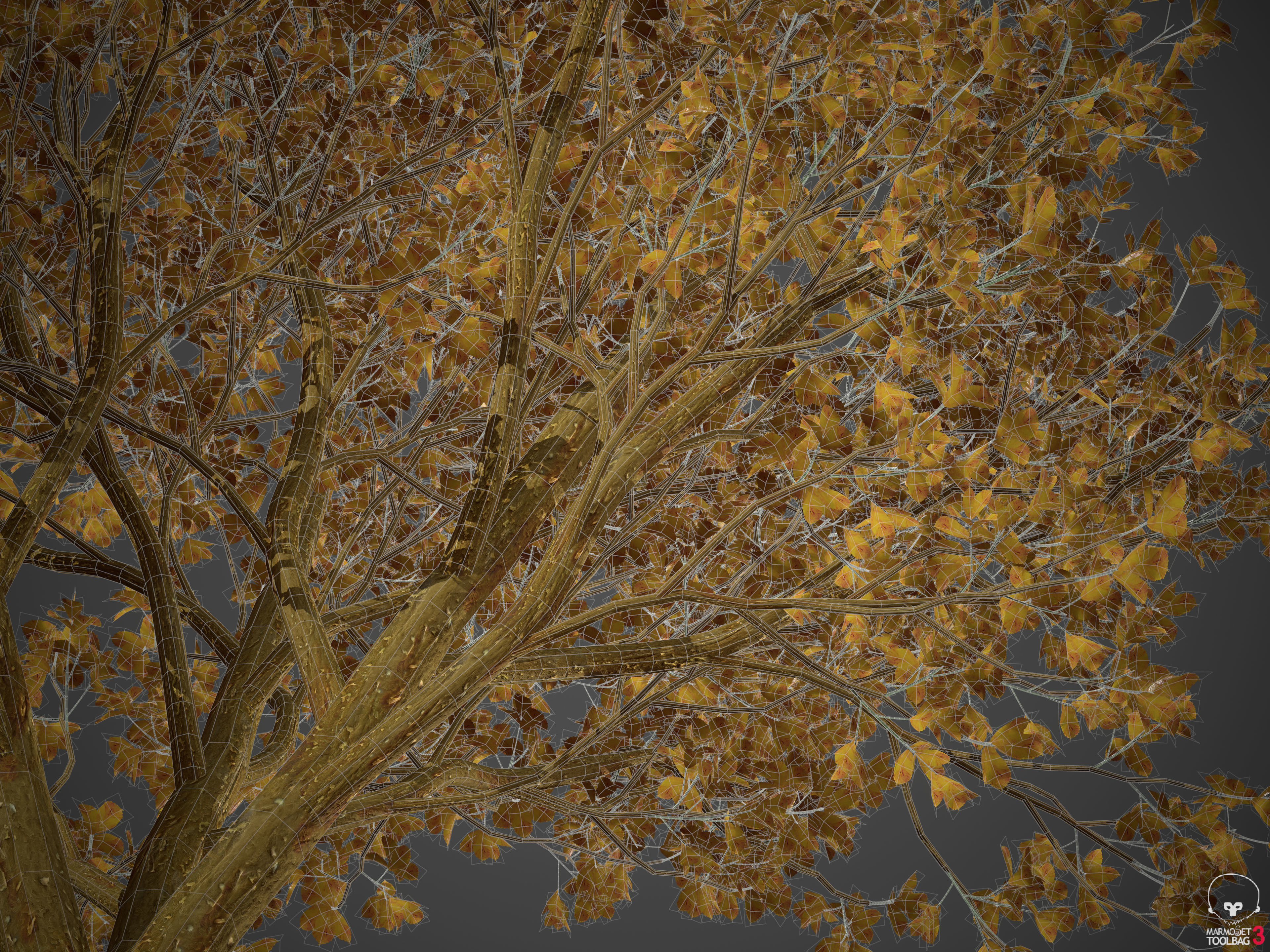 2021 PBR Persian Ironwood Collection - Parrotia Persica 3D model_10