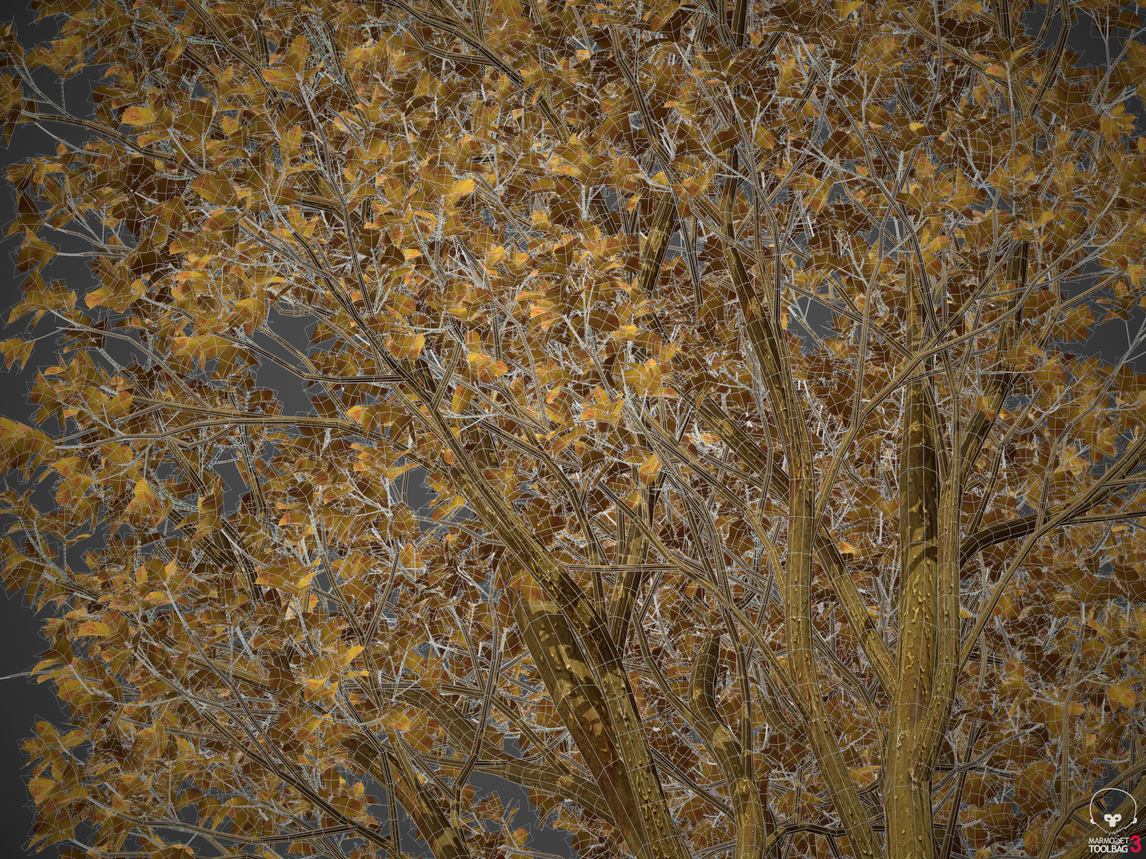 2021 PBR Persian Ironwood Collection - Parrotia Persica 3D model_9