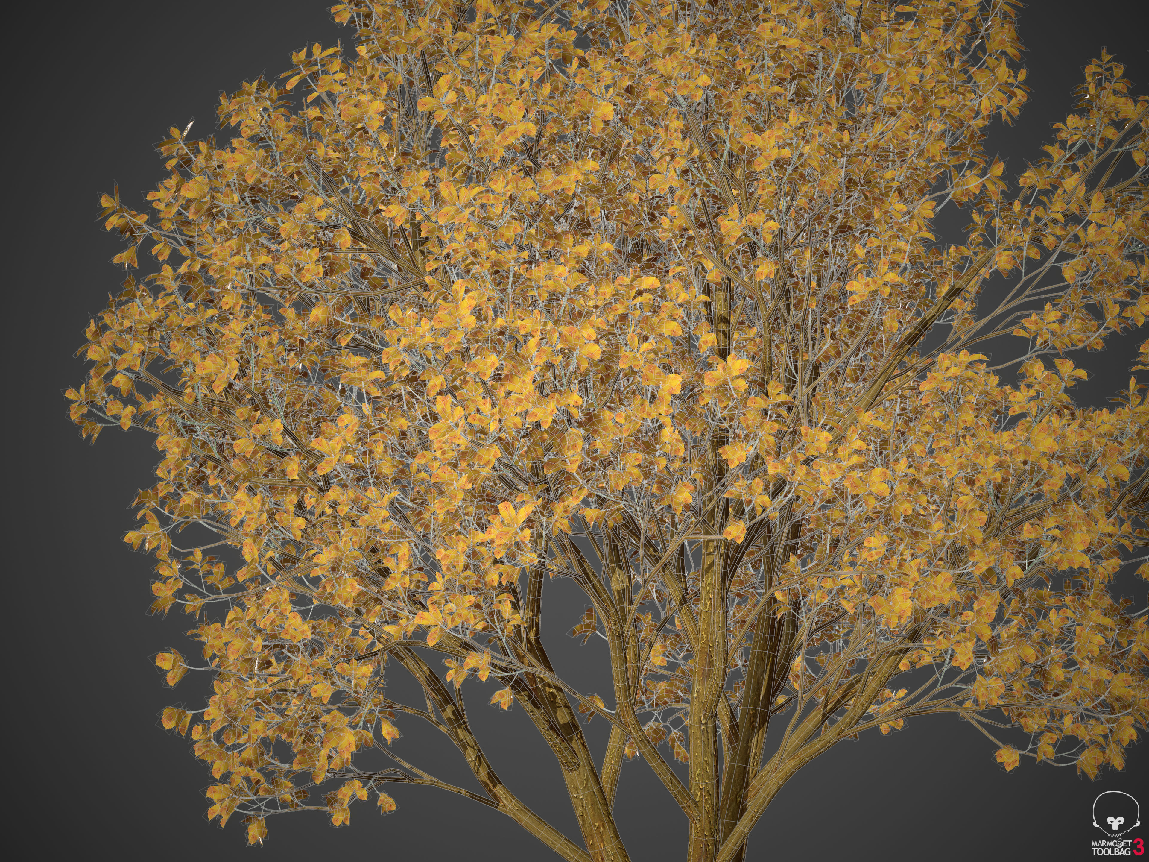 2021 PBR Persian Ironwood Collection - Parrotia Persica 3D model_11