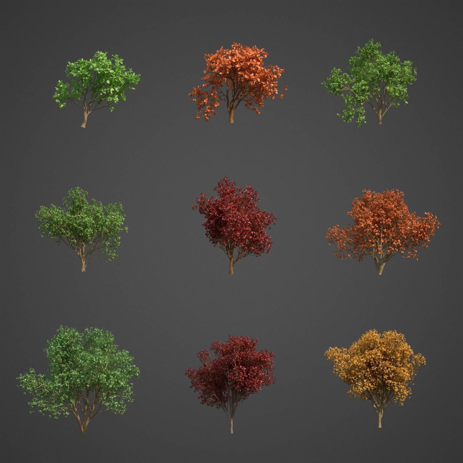 2021 PBR Persian Ironwood Collection - Parrotia Persica 3D model_2
