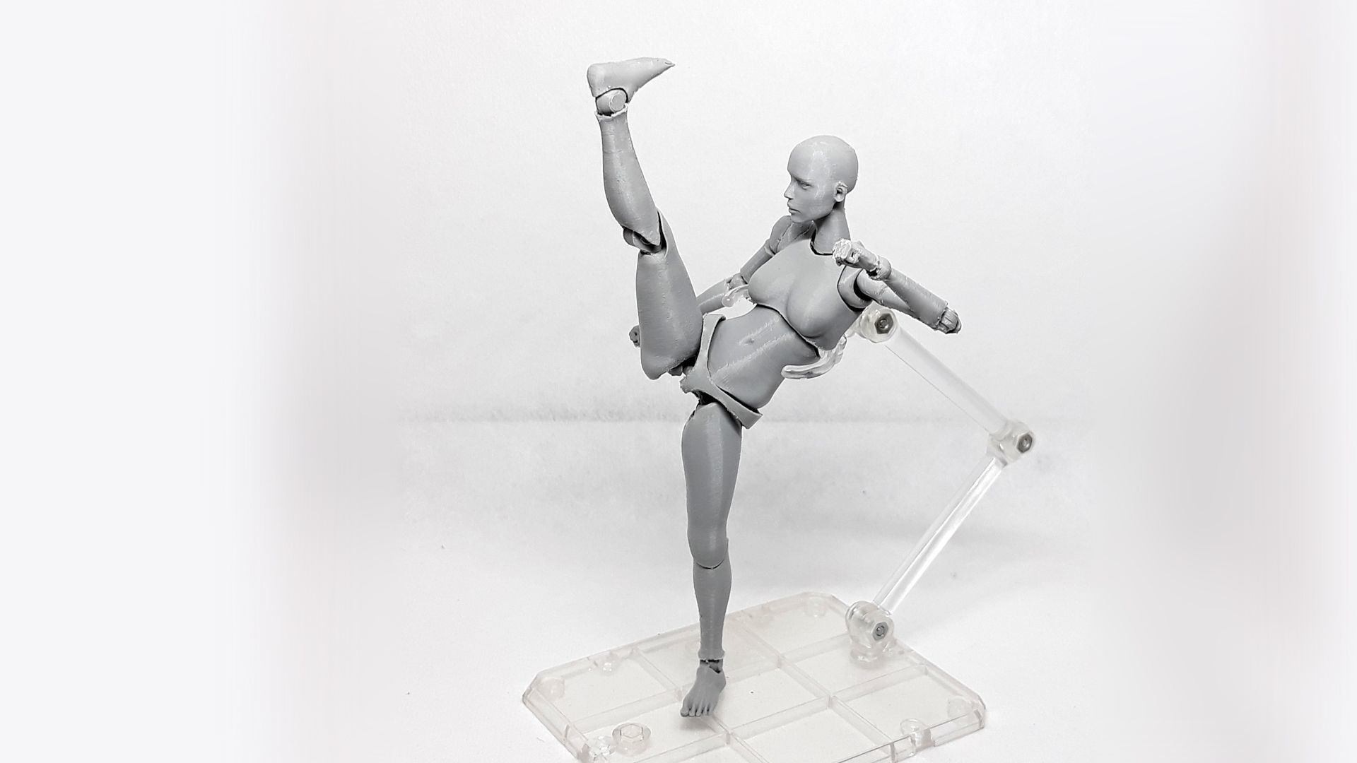 Lady Figure the 3D printed female action figure 3D print model_6