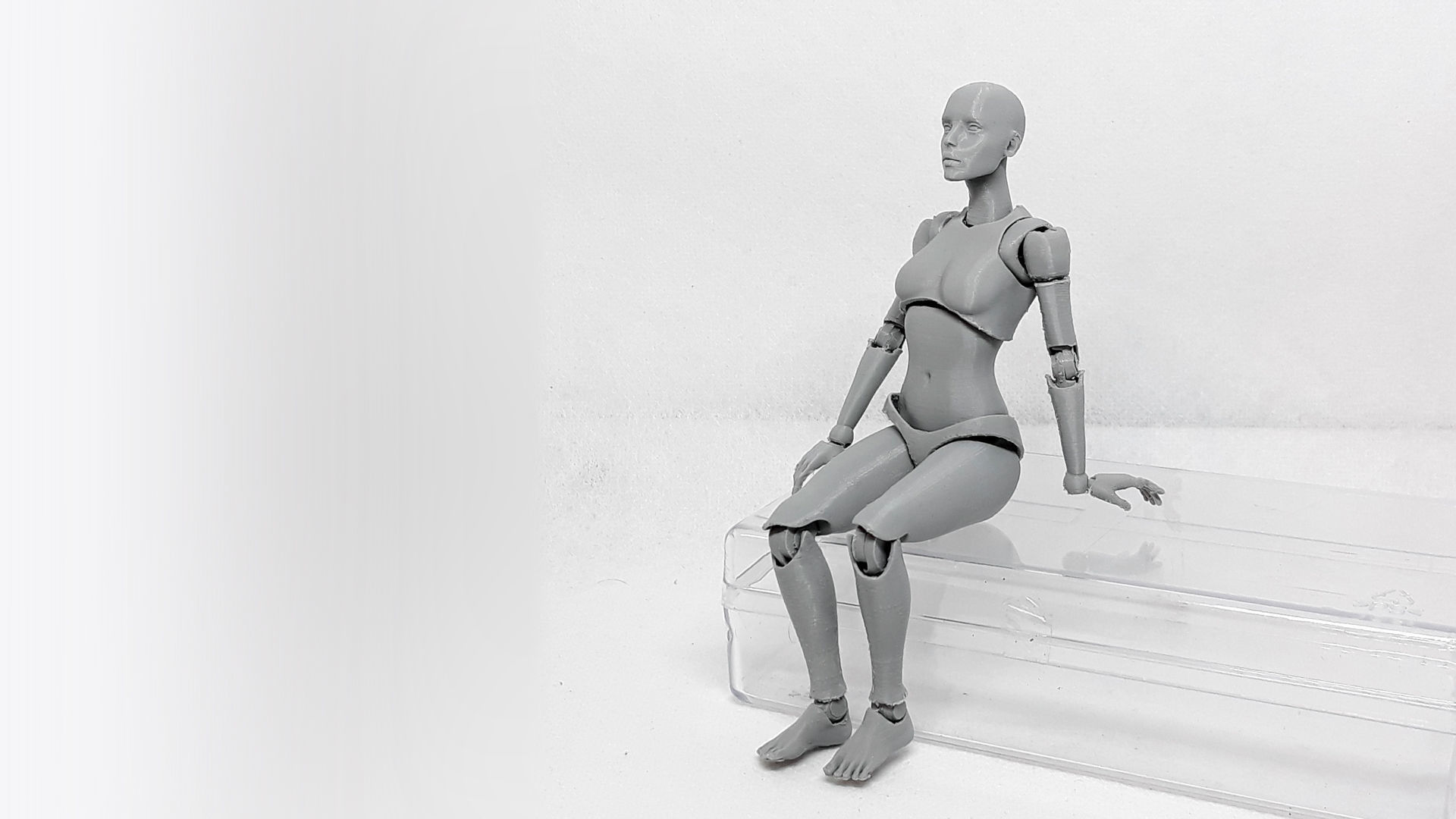 Lady Figure the 3D printed female action figure 3D print model_10