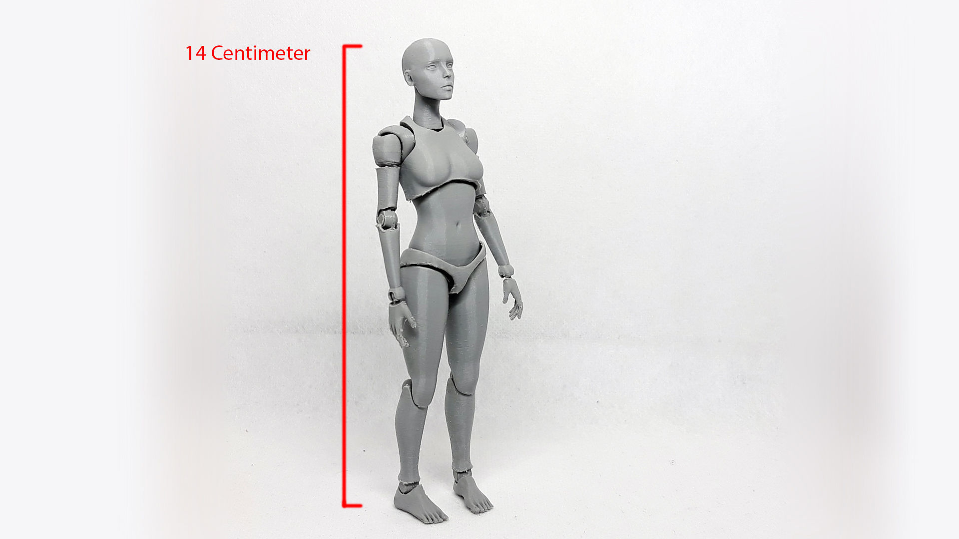 Lady Figure the 3D printed female action figure 3D print model_17