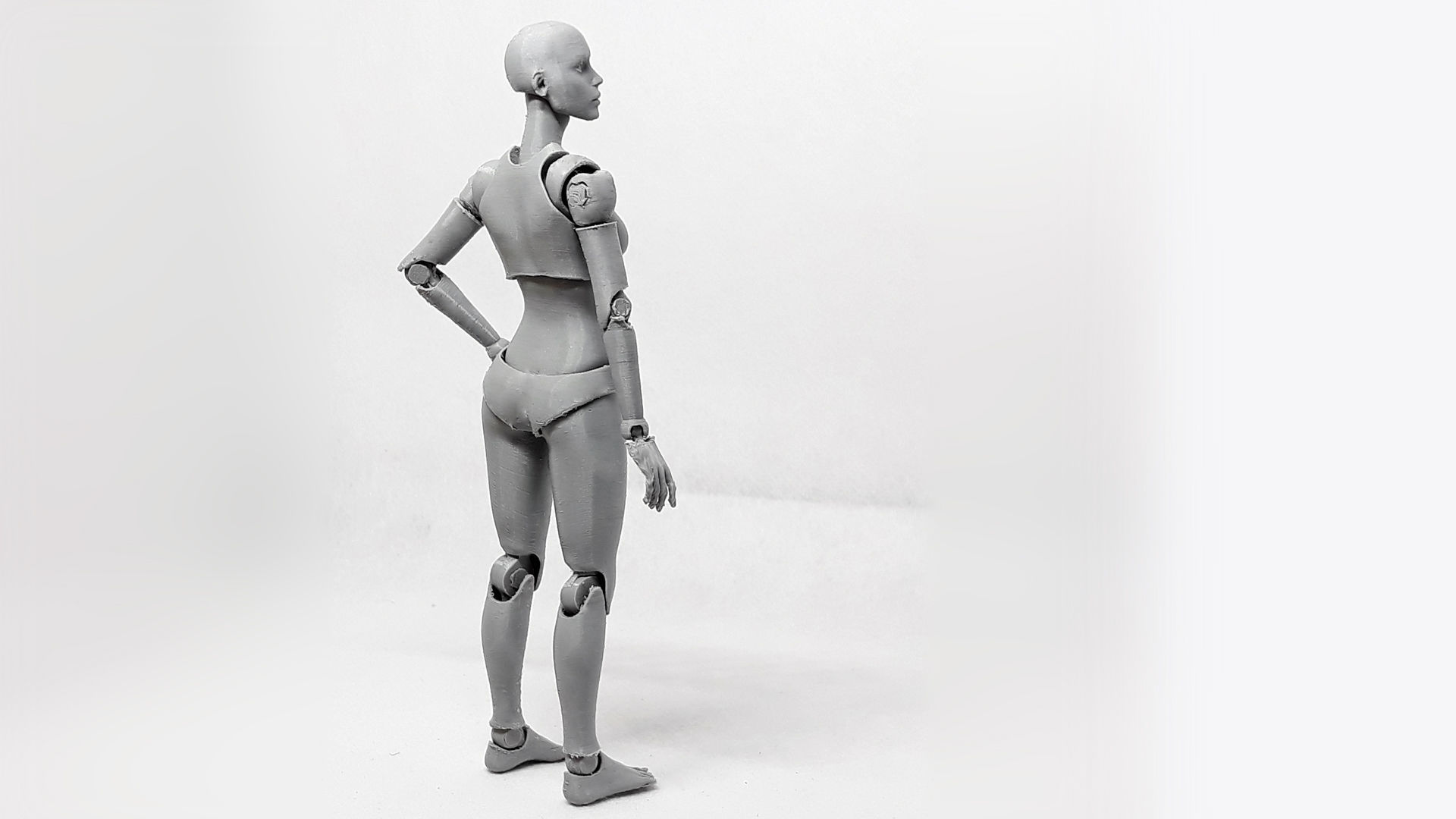 Lady Figure the 3D printed female action figure 3D print model_15