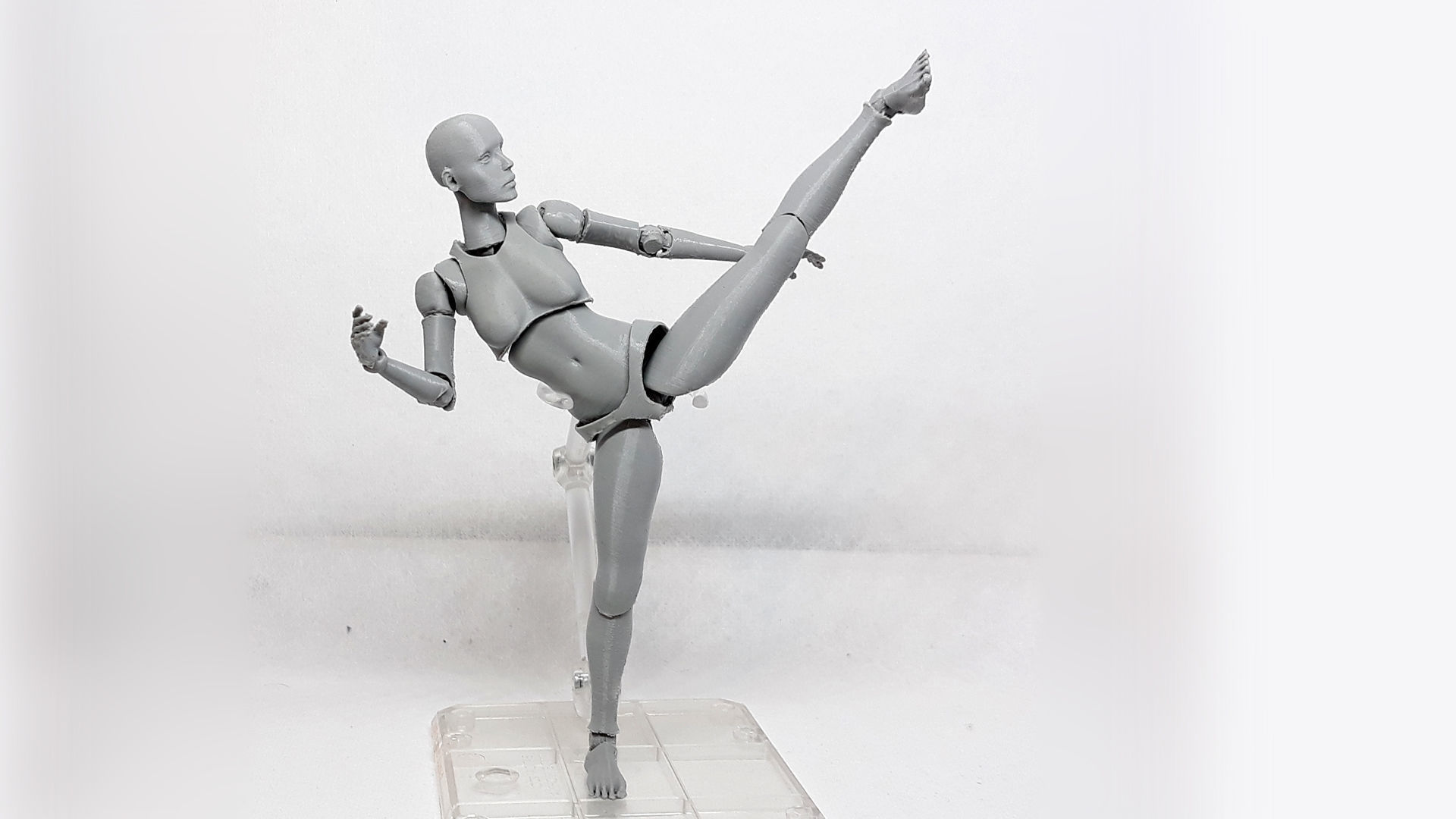 Lady Figure the 3D printed female action figure 3D print model_16