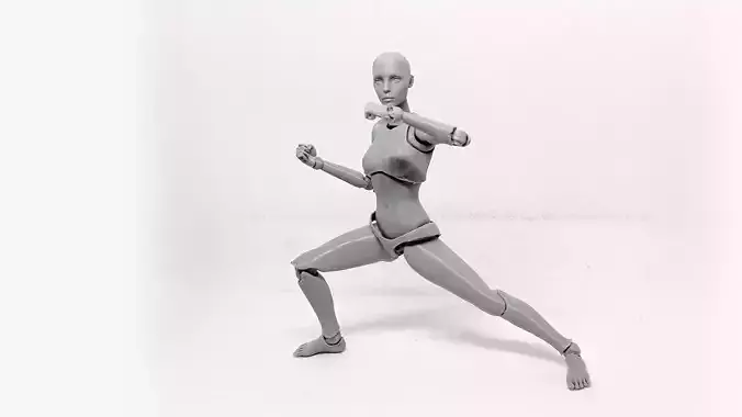 Lady Figure the 3D printed female action figure 3D print model