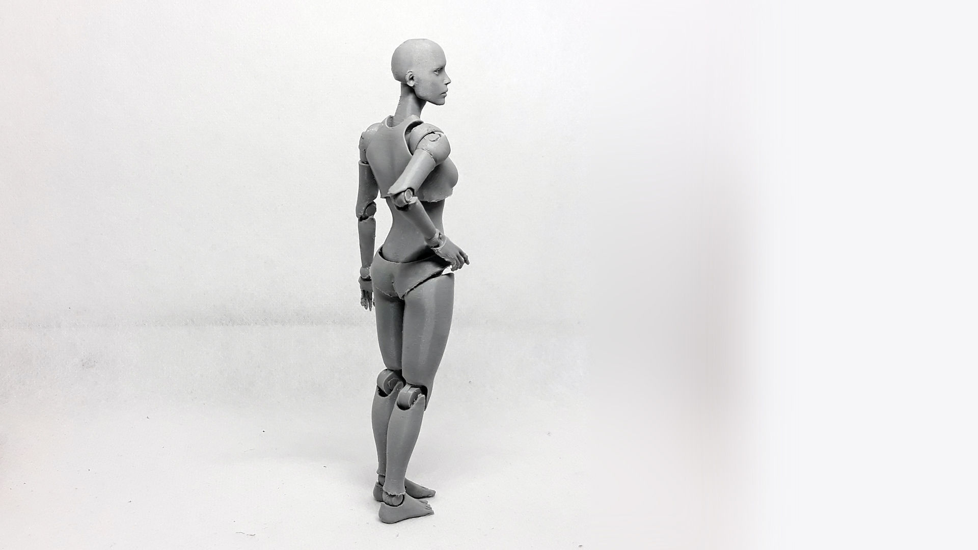 Lady Figure the 3D printed female action figure 3D print model_3