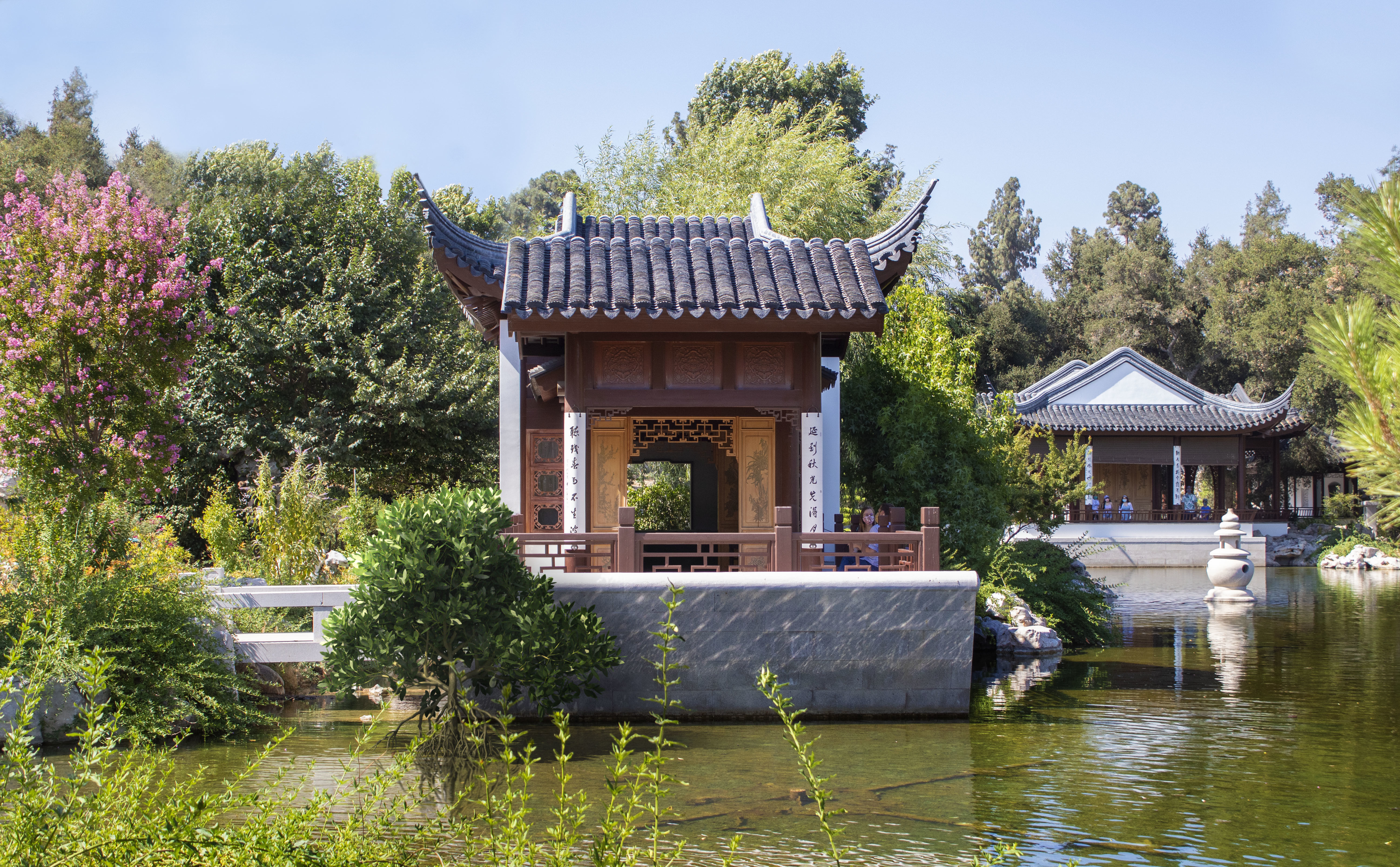 2021 PBR Asiatic Mangrove Collection - Rhizophora Mucronata  3D model_3