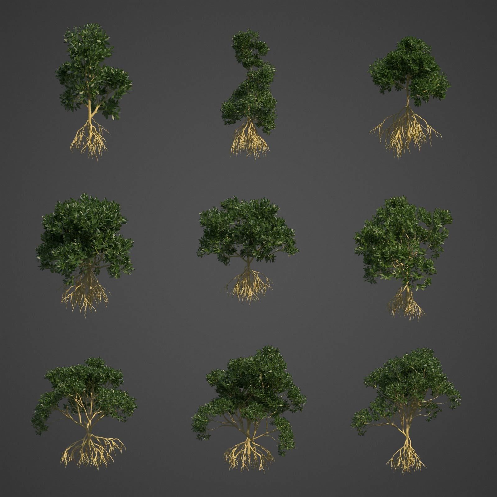 2021 PBR Asiatic Mangrove Collection - Rhizophora Mucronata  3D model_2