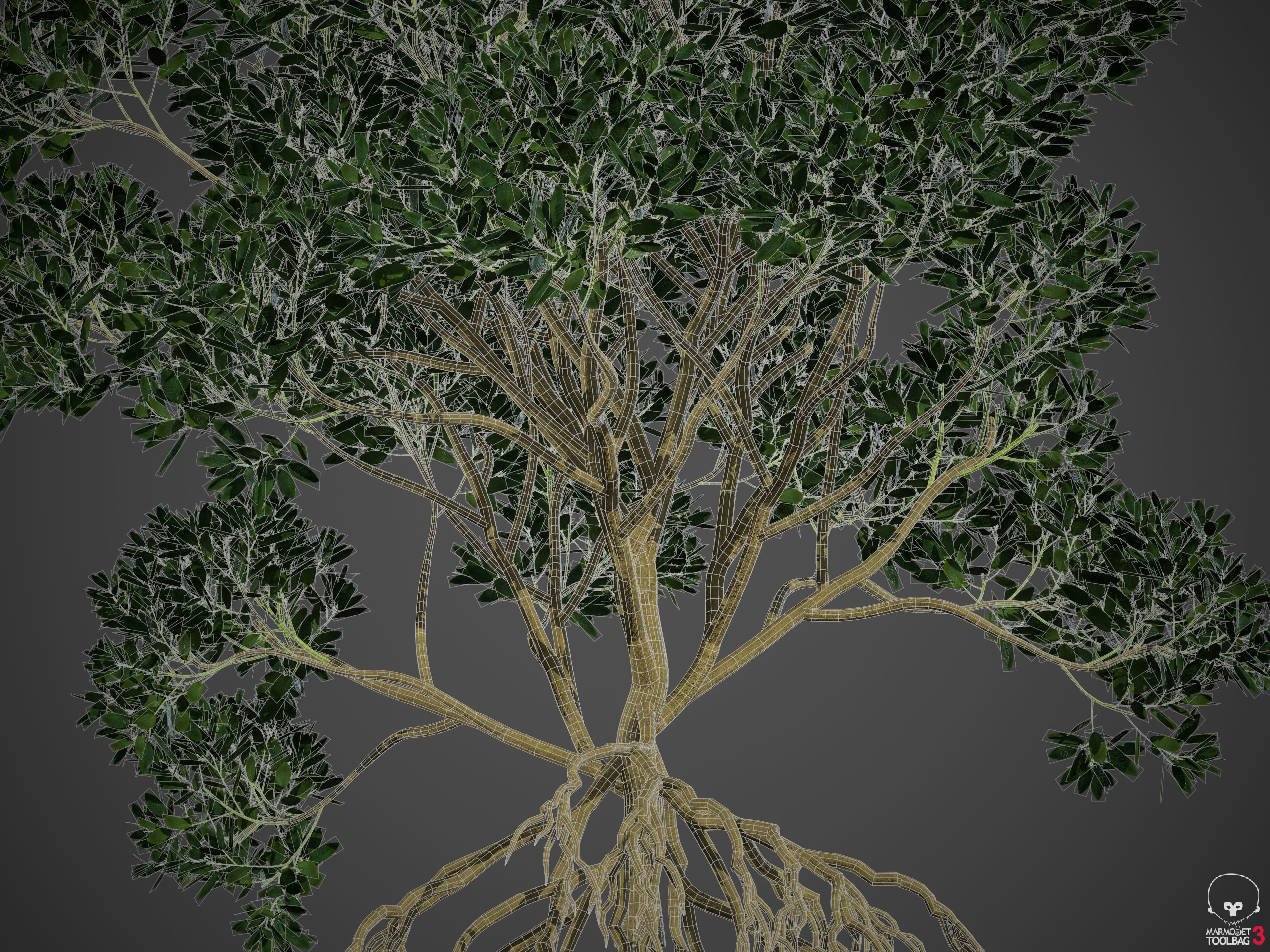 2021 PBR Asiatic Mangrove Collection - Rhizophora Mucronata  3D model_11