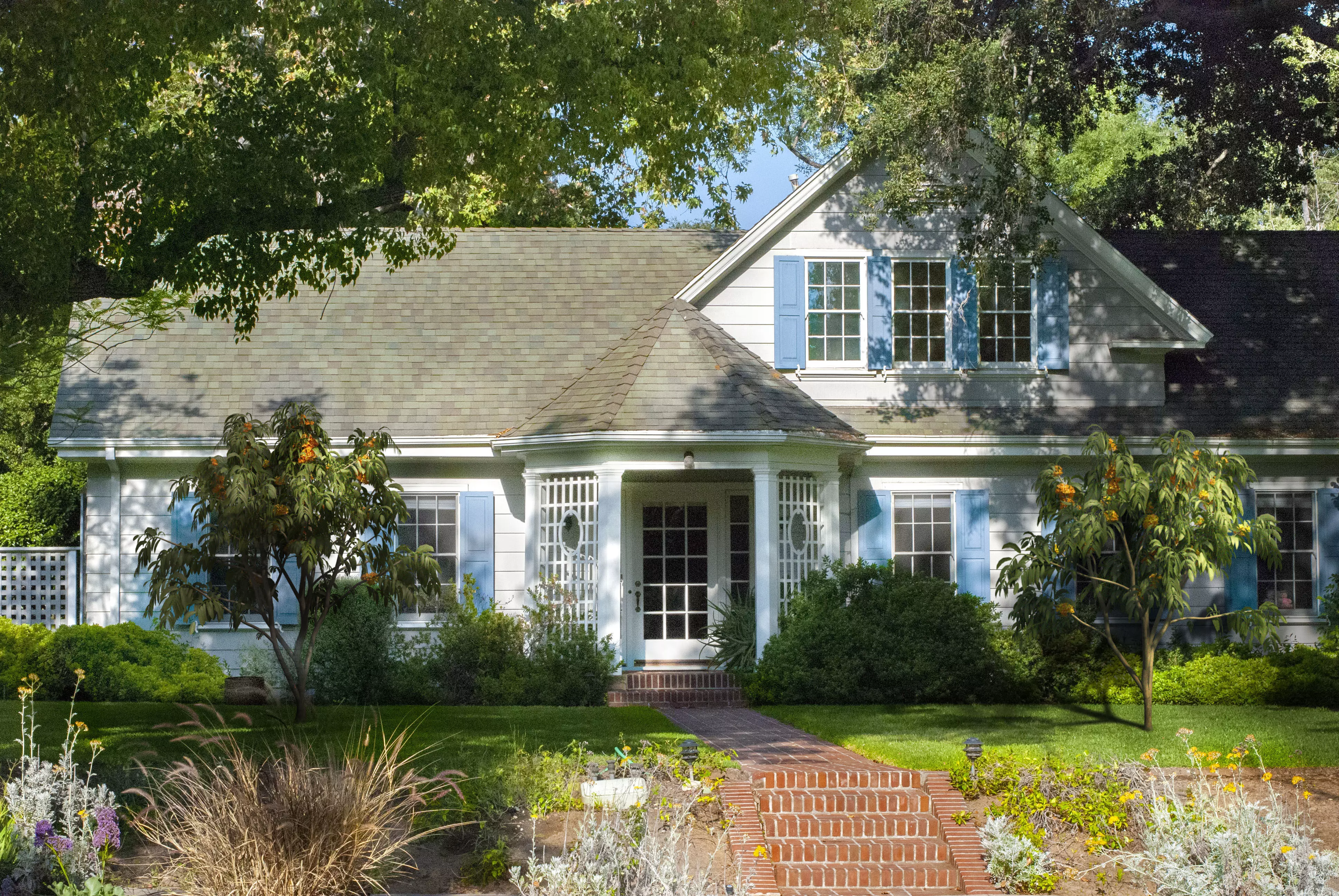 2024 - 9 MODELS -  ASHOKA - Saraca indica  -  3D model_0