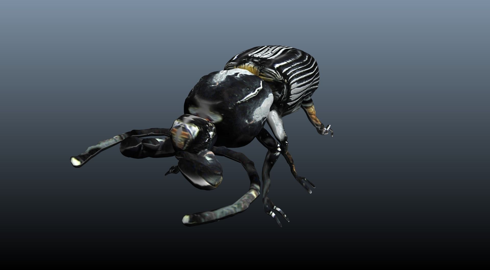 black beetle 3D model_1