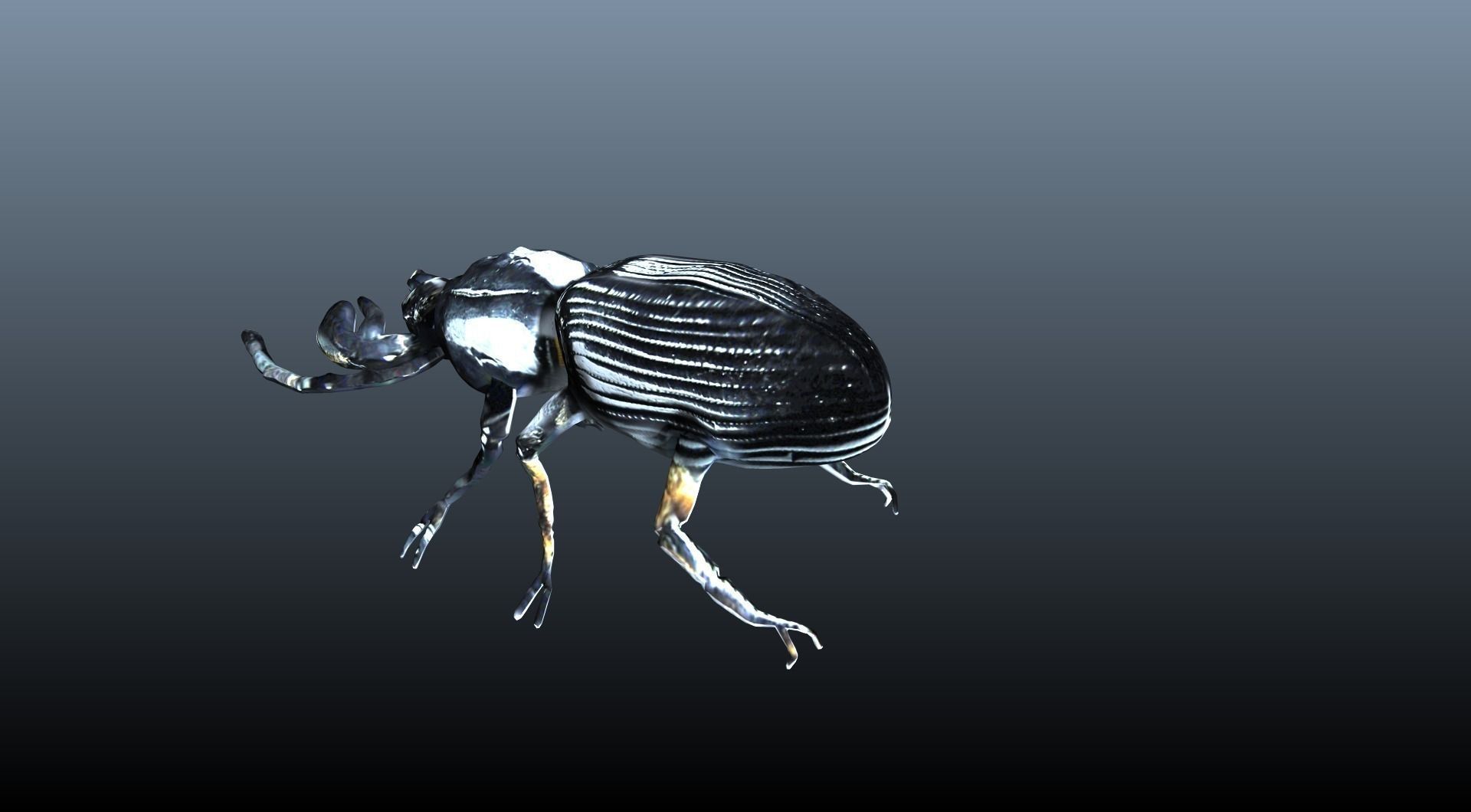black beetle 3D model_8
