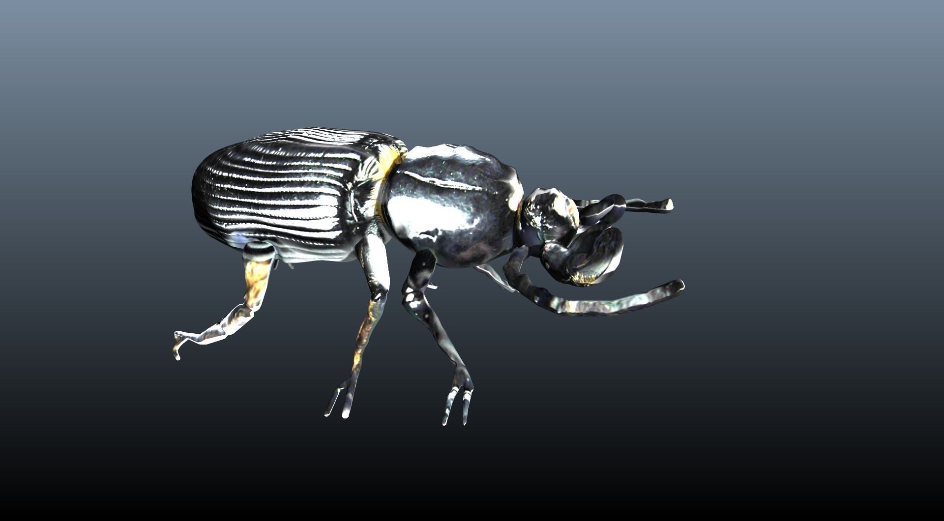 black beetle 3D model_5