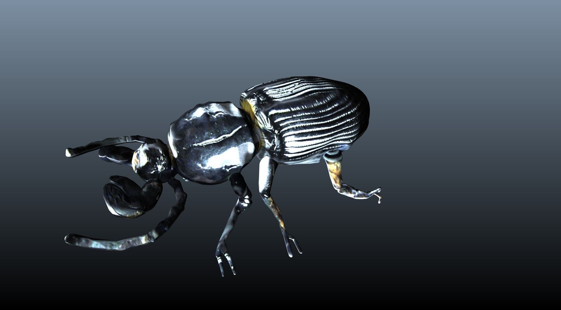 black beetle 3D model_7