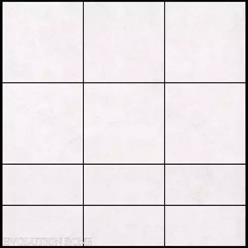 Peronda Evolution Bone