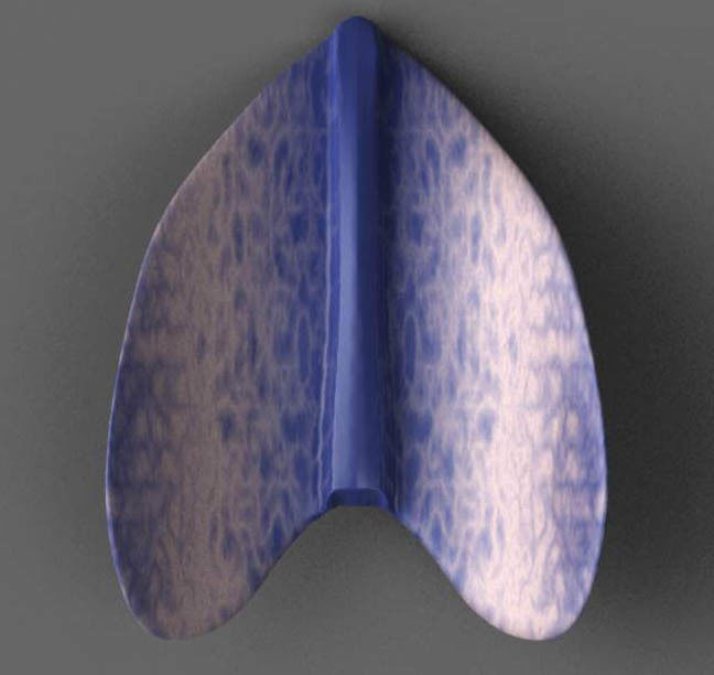 Ray space yacht 3D print model_1