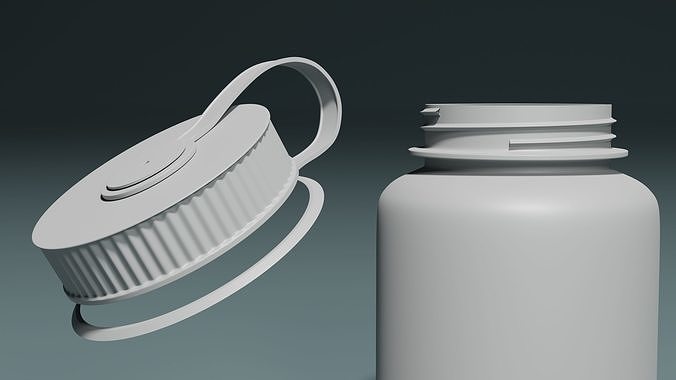 Water Bottle 3D model