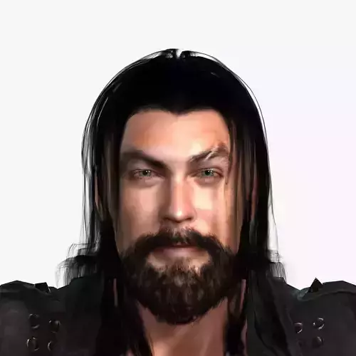 3D jason momoa aquaman 3D designReady for animation 3D model