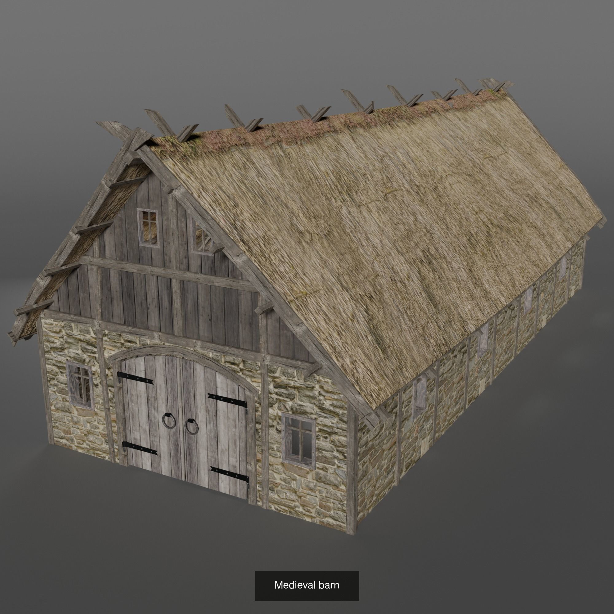 Medieval Pack 3D Model Collection_5