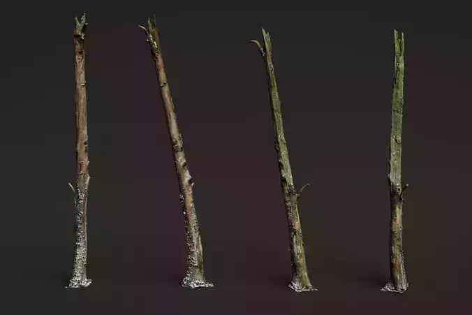 Dead Tree Trunk long and slightly snow covered 3D model