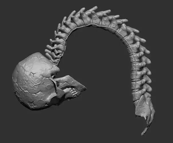 Predator Skull-Spine Trophy 1 to 6 3D print model