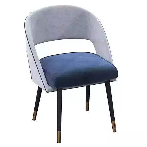 INES chair