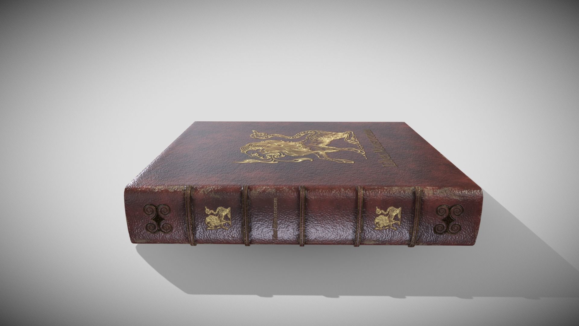 Fantasy Book Low-poly 3D model_7