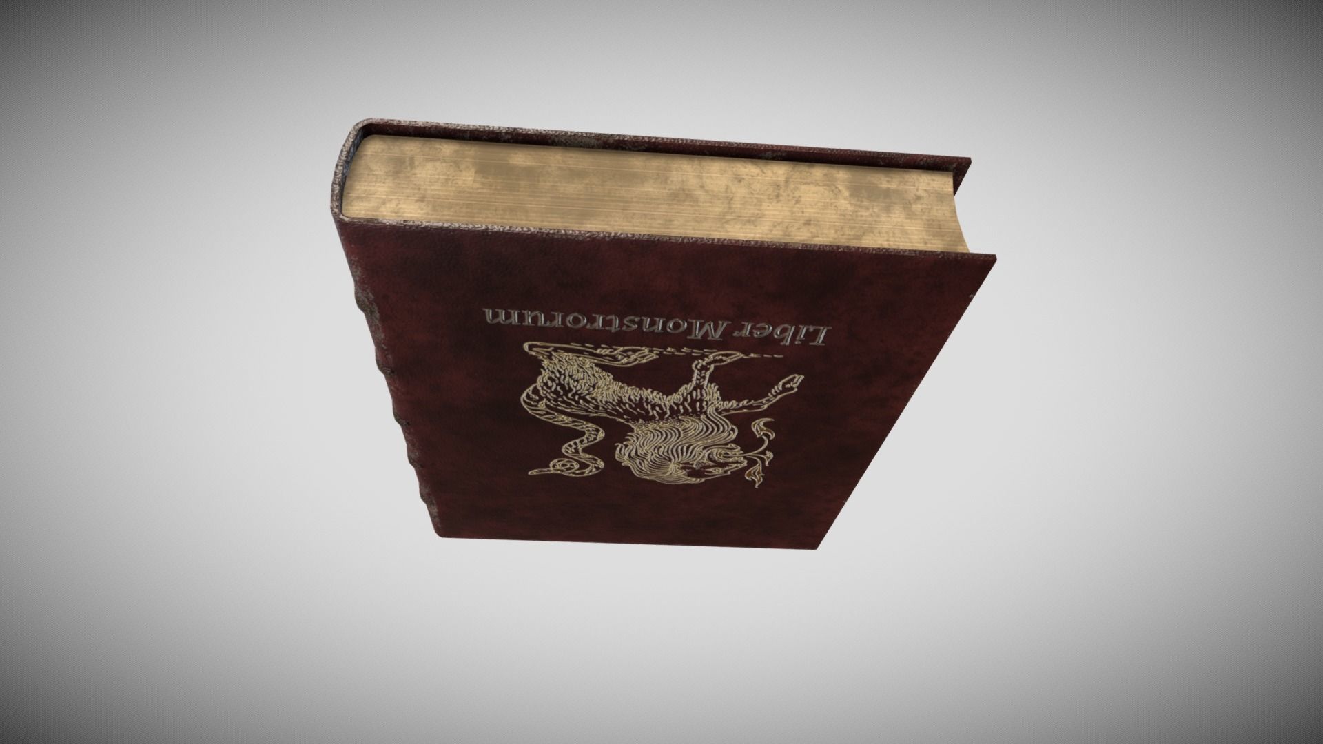 Fantasy Book Low-poly 3D model_6