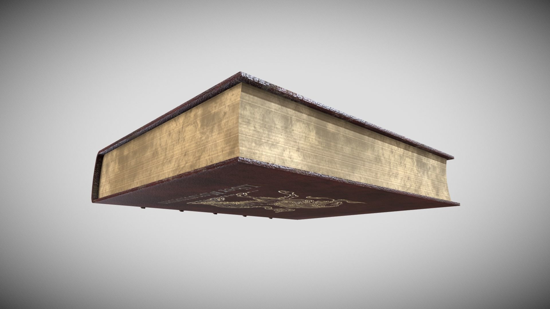 Fantasy Book Low-poly 3D model_3