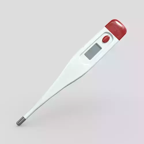 Thermometer digital