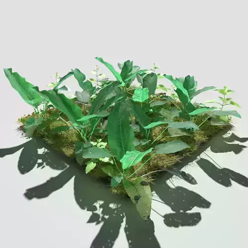 Bitter Dock Meadow Patch and Free Gift