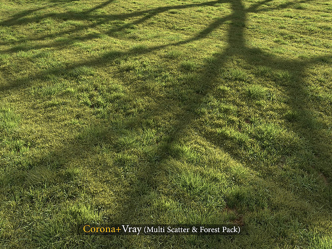 Grass landscape 3D model