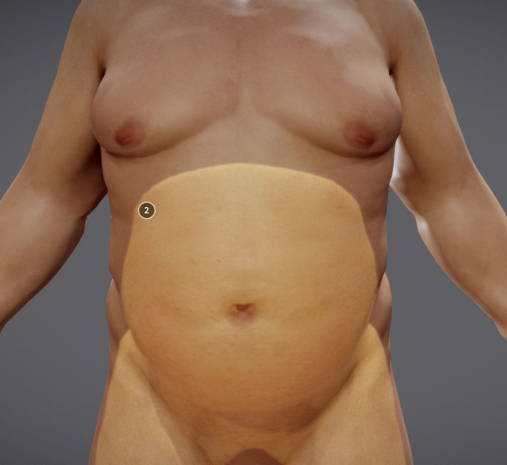 Male Vs Female Fat Distribution Low-poly 3D model_9