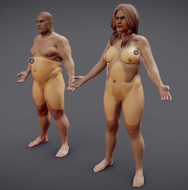 Male Vs Female Fat Distribution Low-poly 3D model_1