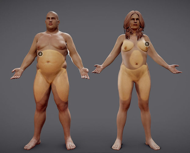 Male Vs Female Fat Distribution Low-poly 3D model