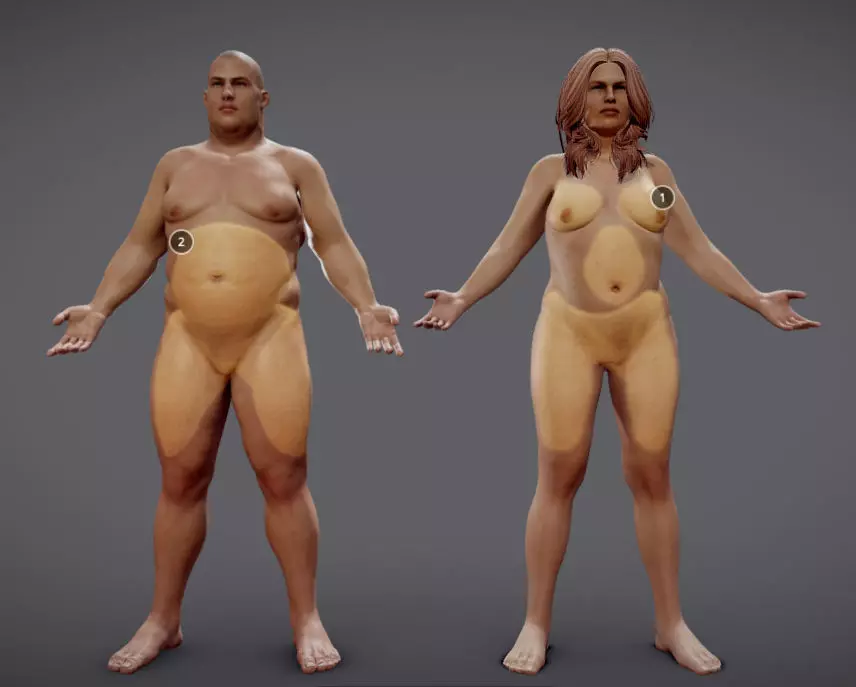 Male Vs Female Fat Distribution Low-poly 3D model_0