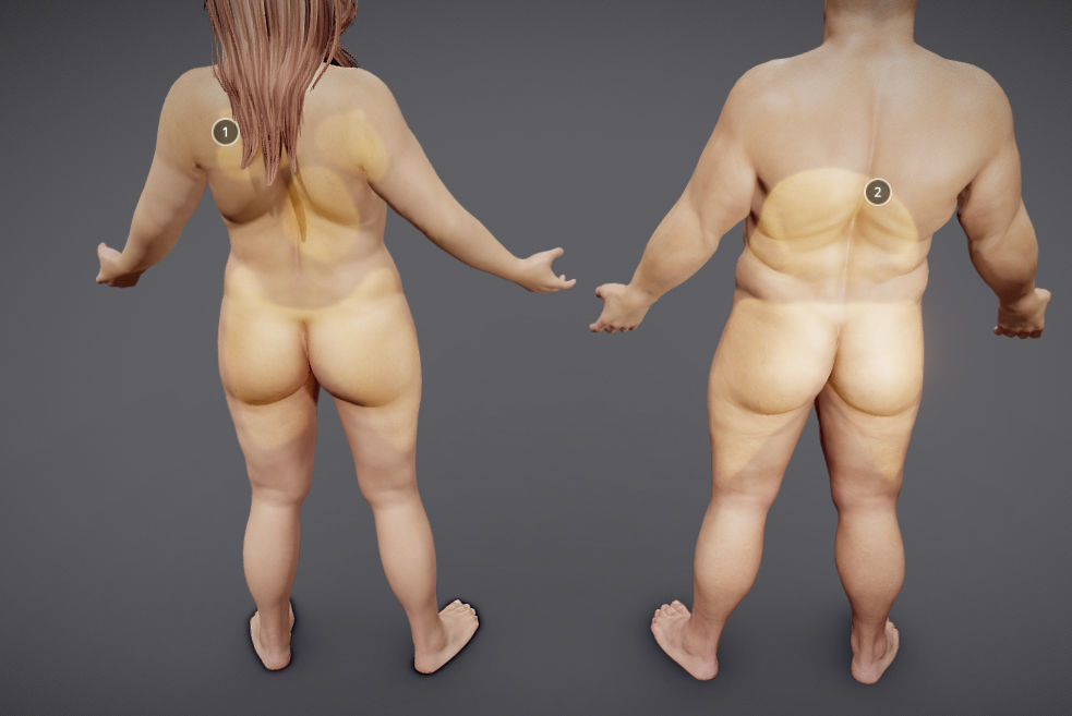 Male Vs Female Fat Distribution Low-poly 3D model_11