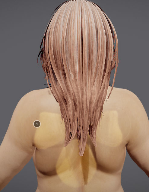 Male Vs Female Fat Distribution Low-poly 3D model_14