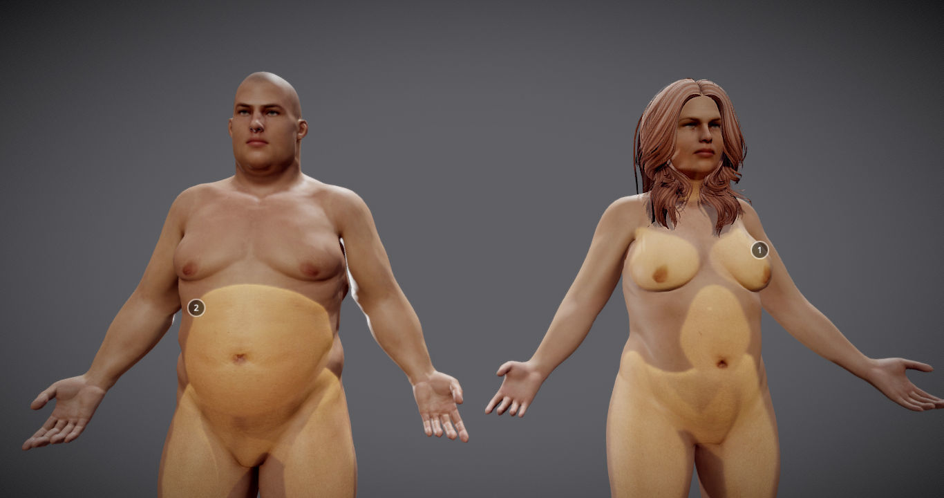 Male Vs Female Fat Distribution Low-poly 3D model_4