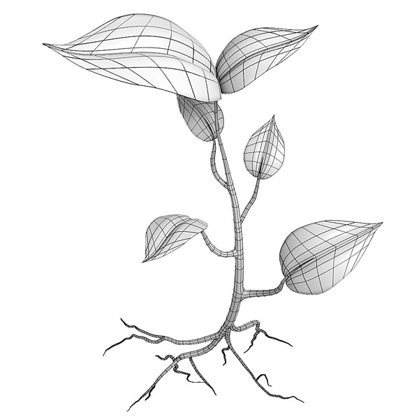 Small plant design 3D model_4