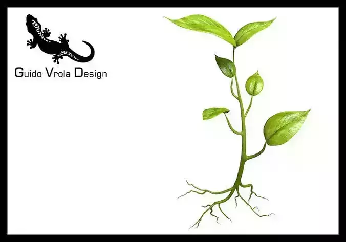 Small plant design