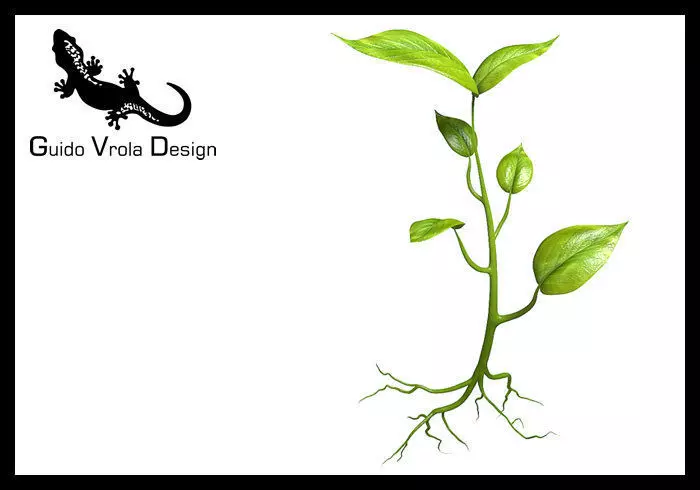 Small plant design 3D model_0