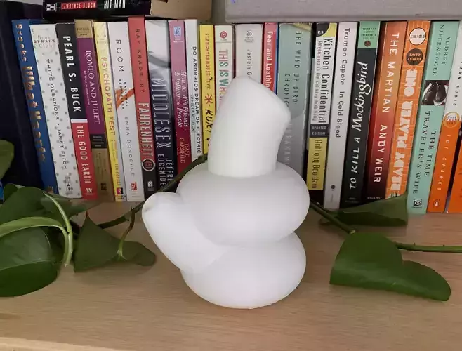 The Paulette  Water pipe