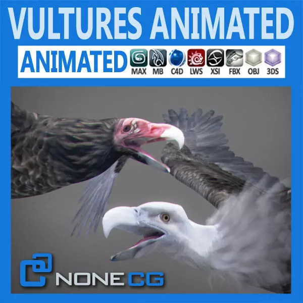 Animated Vultures 3D model_0